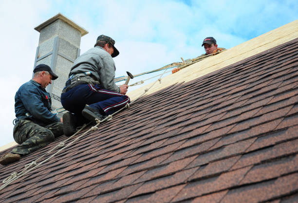 Best Slate Roofing Contractor  in Lebanon, VA